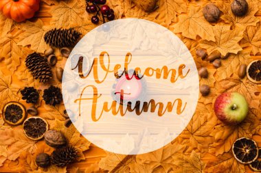 Ahşap arkaplanda sonbahar yazıtlarının yanında yanan mum manzarası.