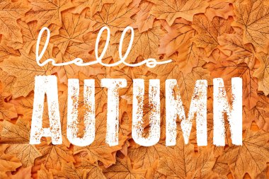 top view of golden leaves near hello autumn lettering  clipart