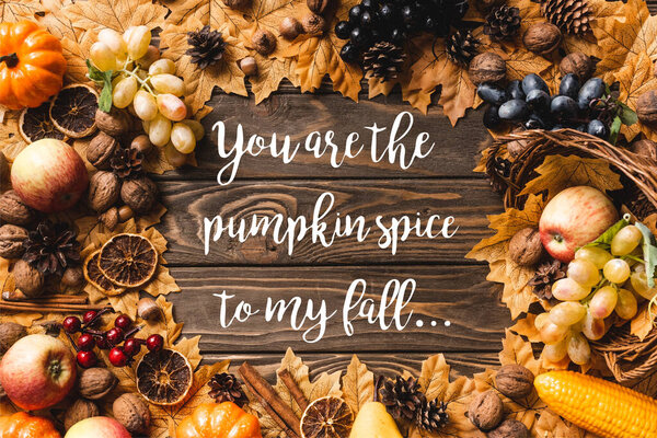 top view of frame made of autumnal harvest and foliage near you are the pumpkin spice to my fall lettering on wooden background