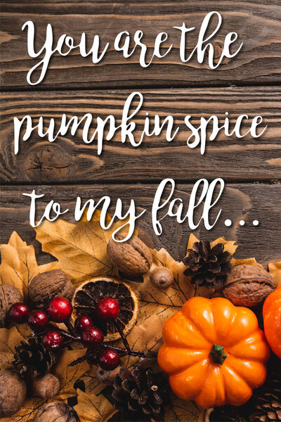 top view of autumnal decoration and pumpkin near you are the pumpkin spice to my fall lettering on wooden background