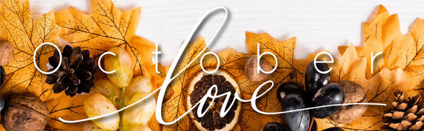 top view of autumnal decoration and grapes near october love lettering on white background, panoramic shot 