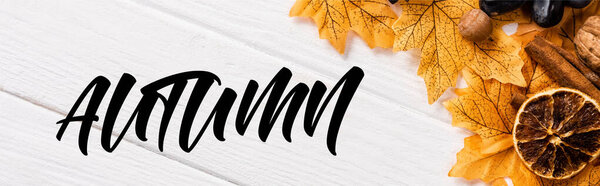 top view of decoration with grapes and leaves near autumn lettering on white background, panoramic crop