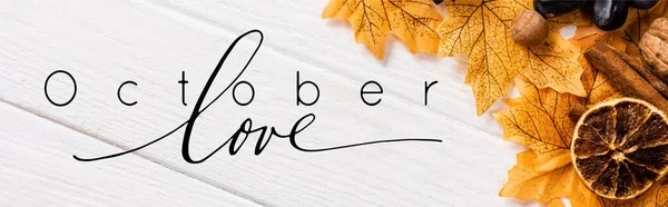 Bovenaanzicht Van Herfstdecoratie Druiven Nabij Oktober Liefdesbelettering Witte Achtergrond Panoramisch — Stockfoto