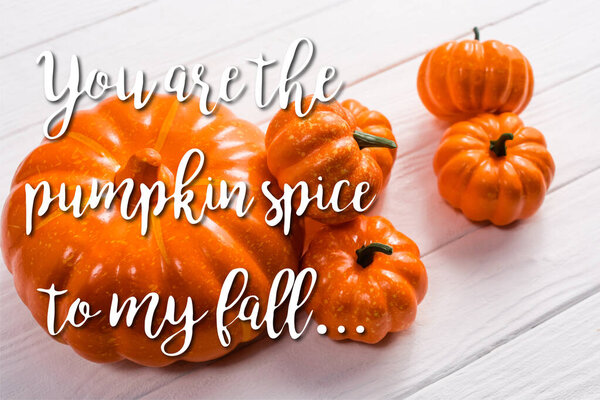 orange vegetable near you are the pumpkin spice to my fall lettering on white wooden background 