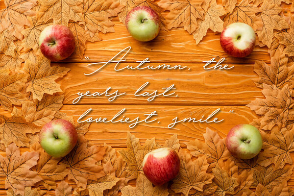 top view of ripe apples and leaves near autumn the years last, loveliest smile lettering on wooden background