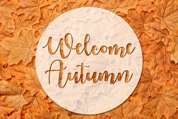 top view of golden autumnal leaves near welcome autumn lettering 