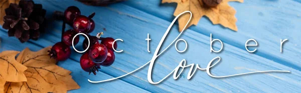 Panoramic Concept Autumnal Leaves Berries Acorns Cones October Love Lettering — Stock Photo, Image