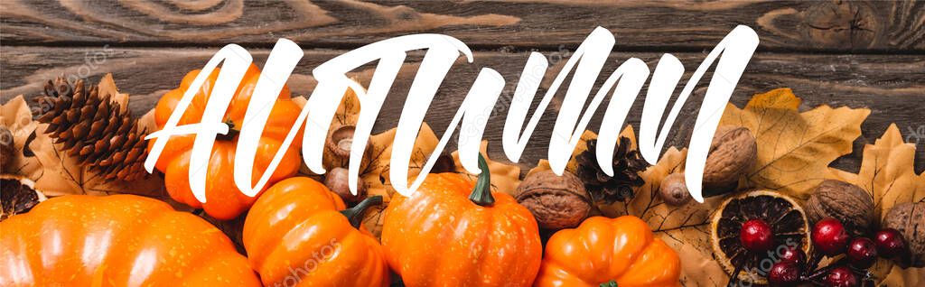 top view of decoration with pumpkins near autumn lettering on wooden background, panoramic shot 