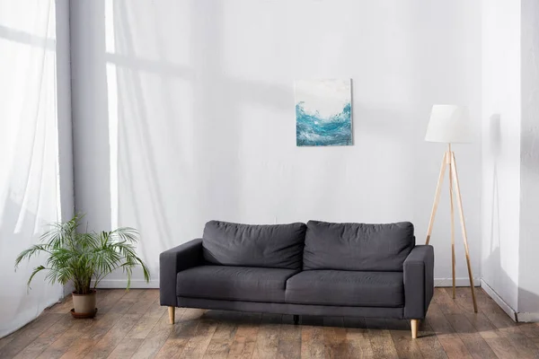 盆栽附近客厅里柔软舒适的沙发 — 图库照片