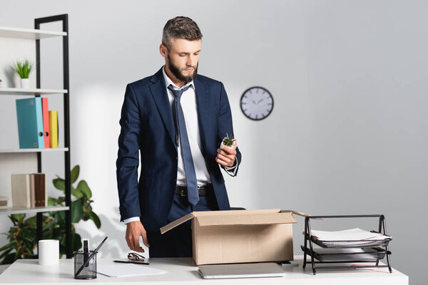 Dismissed businessman holding plant near laptop, stationery and carton box on table in office 