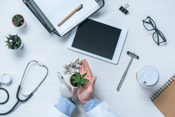 Immagine ritagliata del medico maschio con braccio protesico che tiene pianta in vaso a tavola con strumenti medici e tablet digitale — Foto stock