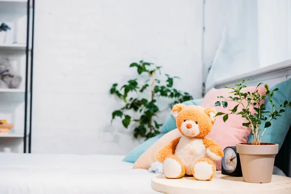 Ursinho de pelúcia com planta e despertador na frente da cama — Fotografia de Stock