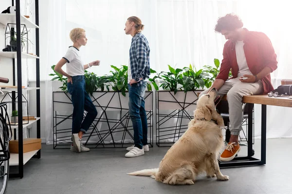 Jeune homme caressant chien tandis que des collègues parlent près de la fenêtre dans le bureau — Photo de stock