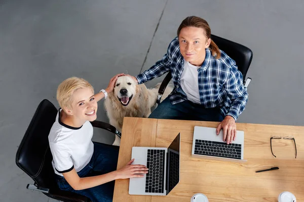 Visão de alto ângulo de sorrir jovens colegas de trabalho usando laptops e acariciando cão no local de trabalho — Fotografia de Stock