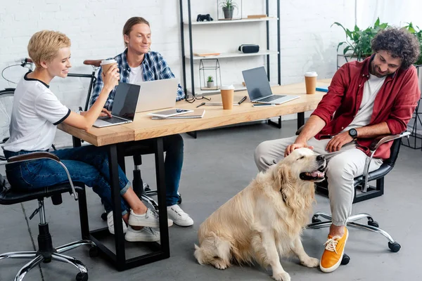 Усміхнені молоді люди дивляться на колегу погладжуючи собаку в офісі — стокове фото