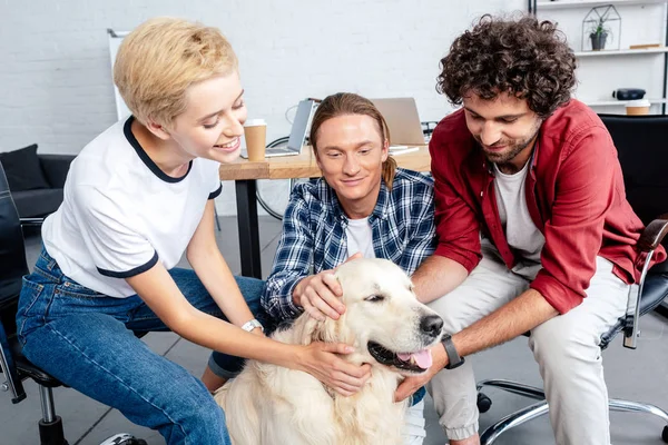 Щасливі молоді бізнес-колеги погладжують собаку в офісі — стокове фото