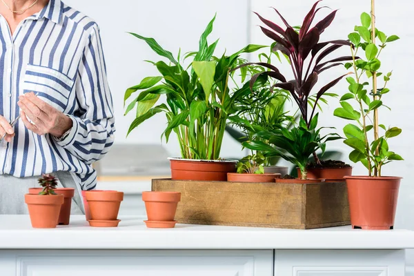 Schnappschuss von Seniorin und schönen grünen Zimmerpflanzen in Töpfen — Stockfoto