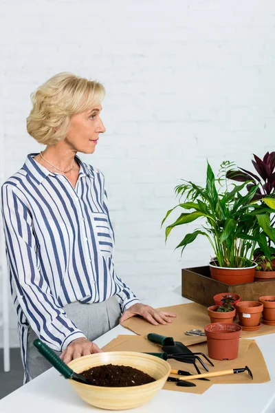 Mujer mayor pensativa mirando hacia otro lado mientras cultiva plantas en maceta en casa - foto de stock