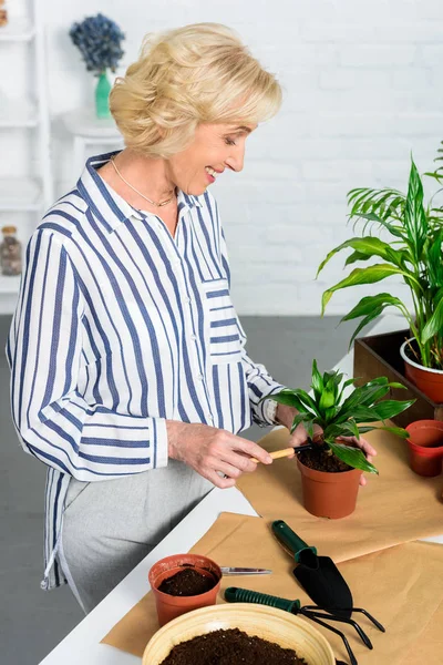 Sonriente mujer mayor cultivando plantas en maceta en casa - foto de stock