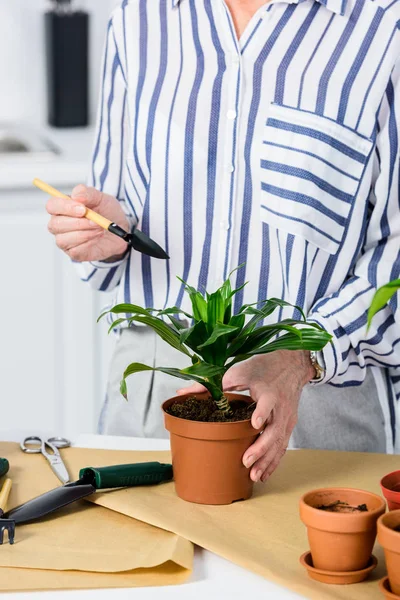 Обрізаний знімок старшої жінки, що культивує рослини з горщиками — стокове фото