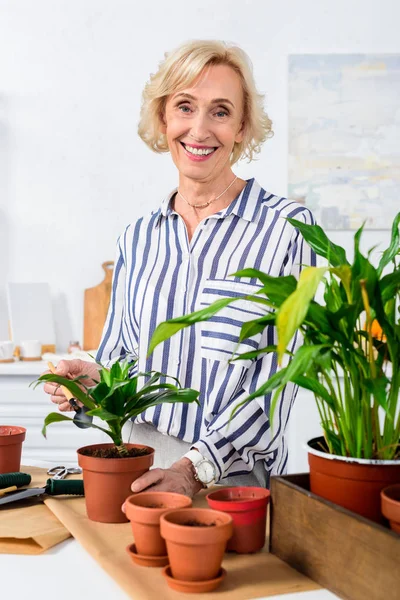 Bella donna anziana sorridente alla macchina fotografica mentre si lavora con belle piante in vaso — Foto stock