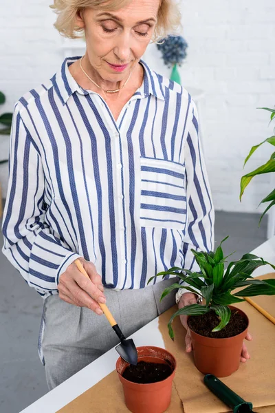 Recortado disparo de hermosa mujer mayor cultivando plantas de interior en macetas - foto de stock