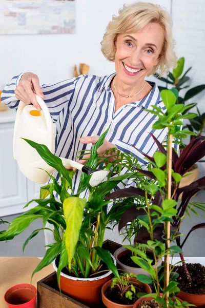 Feliz anciana regando plantas de interior y sonriendo a la cámara - foto de stock