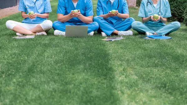 Cropped image of medical students sitting on grass and holding apples — Stock Photo