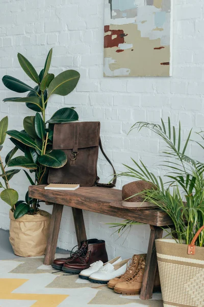 Diferentes zapatos bajo banco de madera en el pasillo en casa, plantas en maceta en el suelo - foto de stock