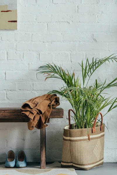 Jaqueta em banco de madeira no corredor em casa, vaso de palmeira em cesta no chão — Fotografia de Stock