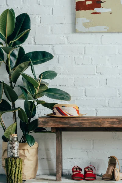 Chapeau sur banc en bois dans le couloir à la maison, ficus en pot sur le sol — Photo de stock