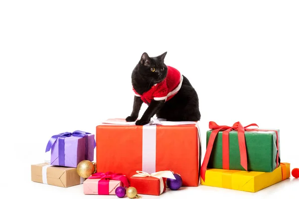Cute black british shorthair in christmas vest sitting on gift boxes near christmas baubles isolated on white background — Stock Photo