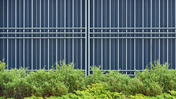 Recinzione blu e erba verde con cespugli, sfondo — Foto stock