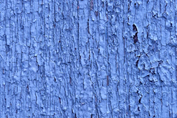 Velho azul resistiu textura de madeira, fundo quadro completo — Fotografia de Stock