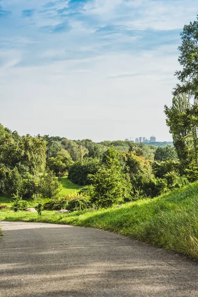 Asphaltstraße im grünen Park mit Landschaft im Hintergrund — Stockfoto