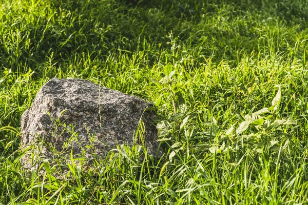 Full frame shot of boulder lying in green grass under sunlight — Stock Photo