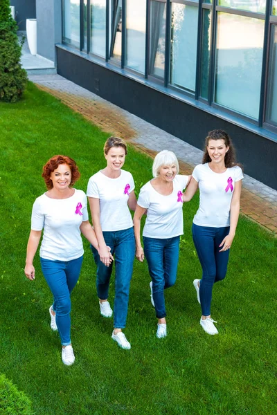 Высокий угол обзора улыбающихся женщин с лентами для информирования о раке молочной железы, идущих вместе по зеленой лужайке — стоковое фото