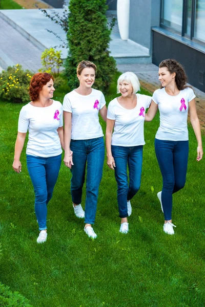 High angle view of four women with breast cancer awareness ribbons walking together on green lawn — Stock Photo