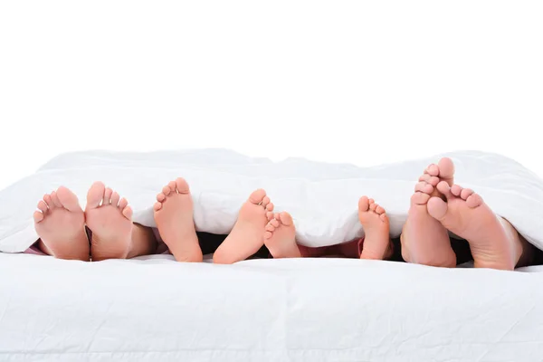 Pais e filhos pés na cama sob cobertor branco, isolado em branco — Fotografia de Stock