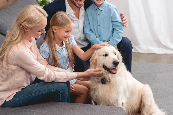 Tiro cortado de jovem família brincando com o cão enquanto sentado no sofá em casa — Fotografia de Stock