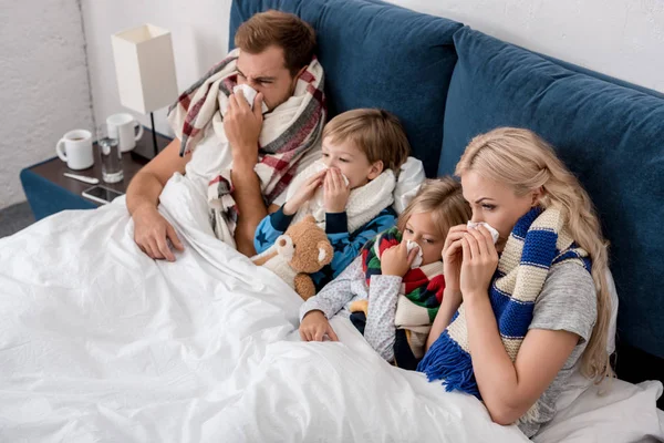 High angle view of sick young family blowing noses with napkins together while lying in bed — Stock Photo