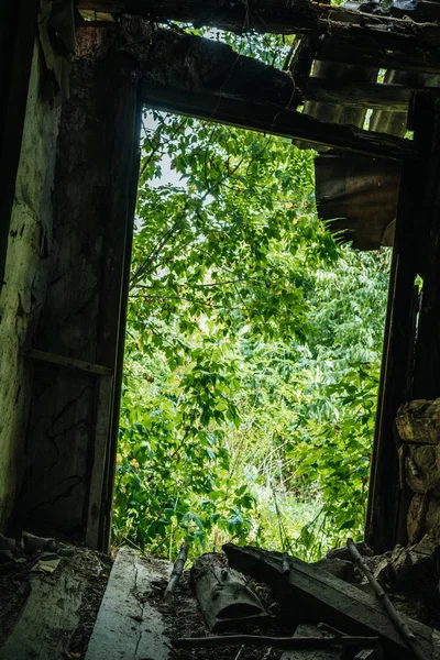 Низкий угол обзора заброшенного здания со сломанной крышей и зелеными деревьями в отверстии — стоковое фото