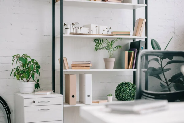 Folders and plants on shelves in business office — Stock Photo