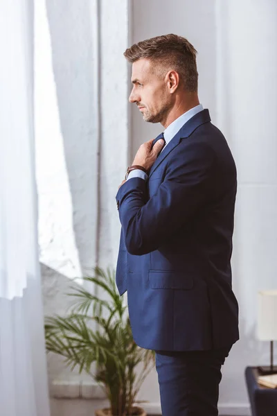 Vista lateral del hombre guapo en traje con corbata y mirando a casa - foto de stock
