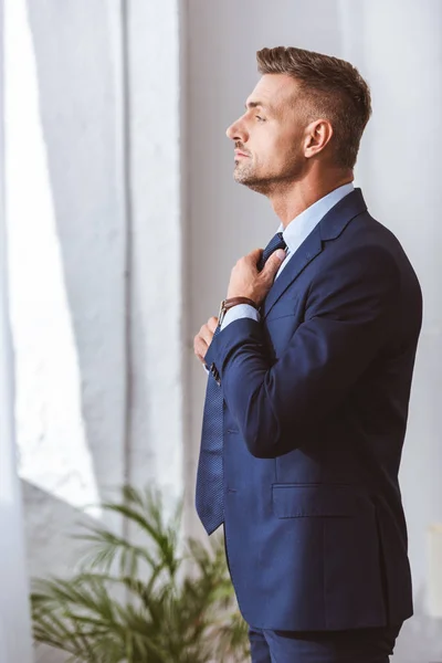 Vista lateral del hombre guapo en ropa formal con corbata y mirando hacia fuera en casa - foto de stock