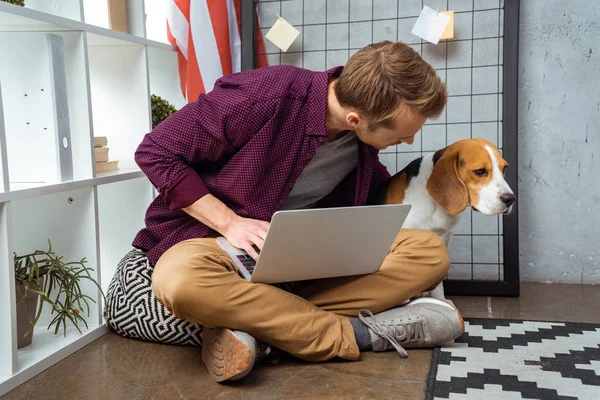 Joven freelancer masculino con portátil hablando con Beagle sentado cerca de la bandera de EE.UU. en la oficina en casa - foto de stock