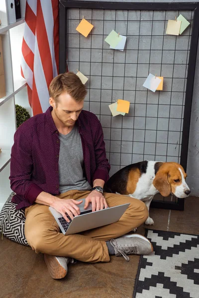 Visão de alto ângulo do freelancer masculino trabalhando no laptop enquanto beagle sentado perto da bandeira dos EUA no escritório em casa — Fotografia de Stock