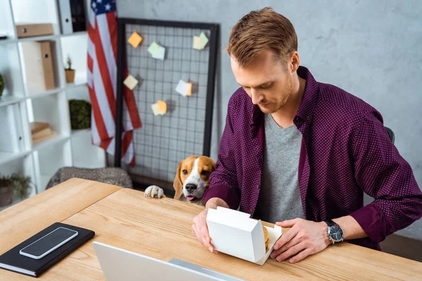 Избирательный фокус бизнесмена есть бургер за столом с ноутбуком и смартфоном в то время как Бигл стоит рядом в офисе — стоковое фото