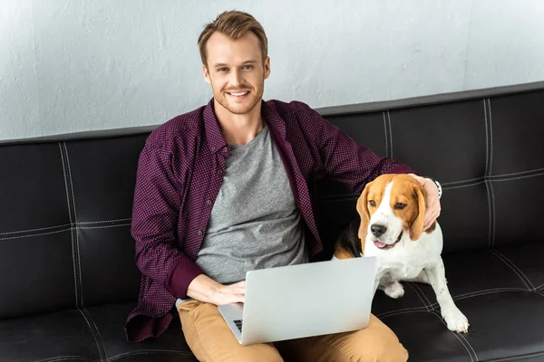 Felice uomo libero professionista seduto sul divano con computer portatile e adorabile beagle a casa — Foto stock