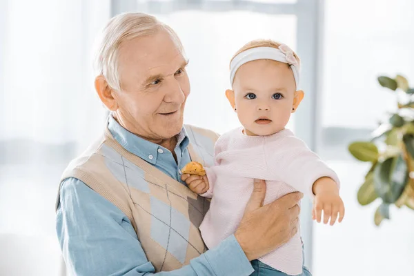 Senior smiling grandfather holding toddler granddaughter with cookie — Stock Photo
